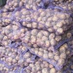 Поставка алтайских овощей из современных картофелехранилищ