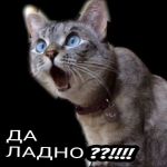 Новые iPhone 16, 17, 18 из Серый ввоз из Dubai. Но Возможна ли его Блокировка